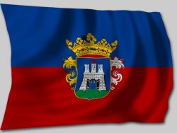 Székesfehérvár zászló