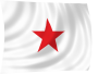 STAR osztálylobogó